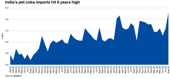 India's pet coke imports hit 5 years high.png
