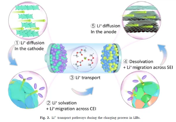 Fig.2.Li+ transport pathways during the charging process in LIBs..png