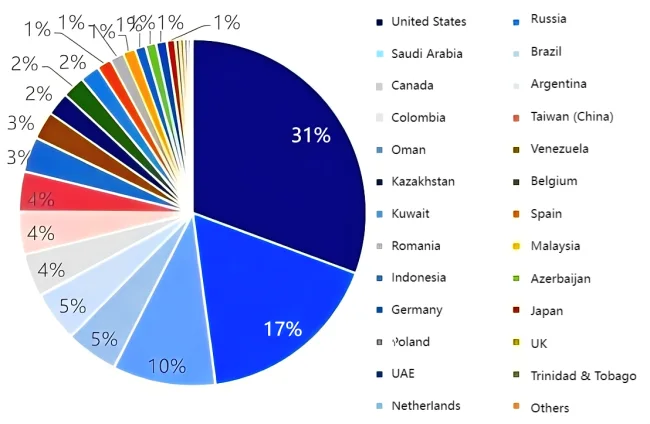 In 2025 China's petroleum coke import origins.png