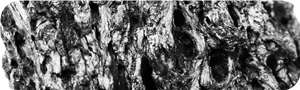 Needle coke news image303.png