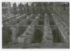 Fig.1_Bending_deformation_of_fire_walls.png