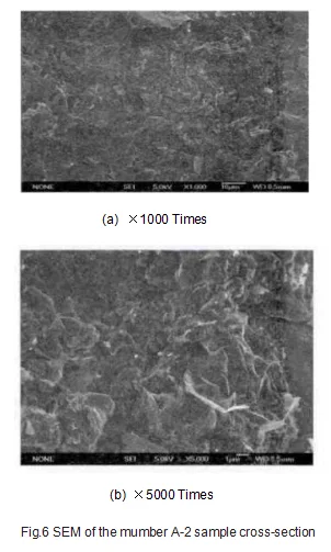 Fig.6_SEM_of_the_mumber_A-2_sample_cross-section.png