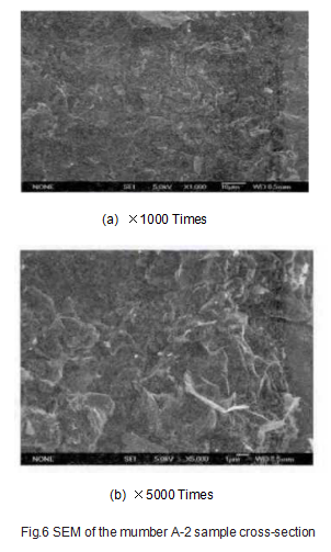 Fig.6_SEM_of_the_mumber_A-2_sample_cross-section.png