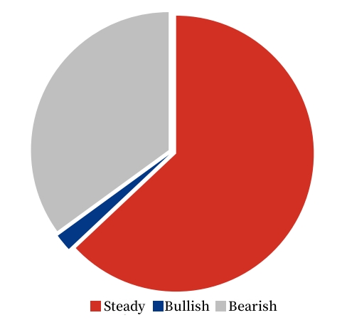 Needle coke market mentality investigation.jpg